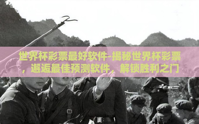 世界杯彩票最好软件-揭秘世界杯彩票，邂逅最佳预测软件，解锁胜利之门