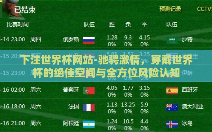 下注世界杯网站-驰骋激情，穿戴世界杯的绝佳空间与全方位风险认知