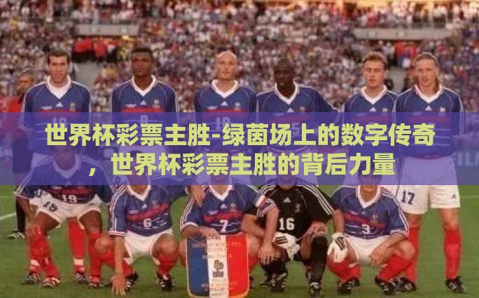 世界杯彩票主胜-绿茵场上的数字传奇，世界杯彩票主胜的背后力量