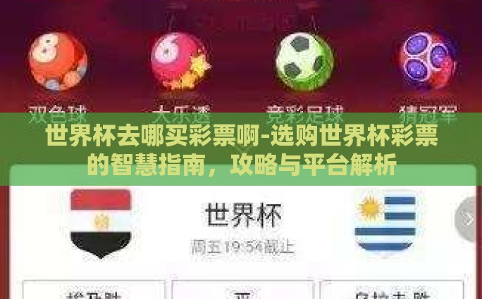 世界杯去哪买彩票啊-选购世界杯彩票的智慧指南，攻略与平台解析