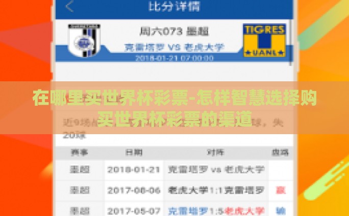 在哪里买世界杯彩票-怎样智慧选择购买世界杯彩票的渠道