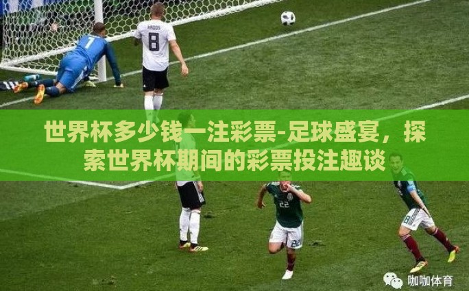 世界杯多少钱一注彩票-足球盛宴，探索世界杯期间的彩票投注趣谈