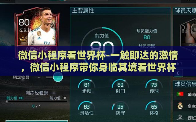 微信小程序看世界杯-一触即达的激情，微信小程序带你身临其境看世界杯