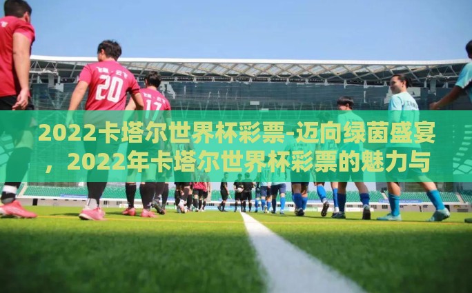 2022卡塔尔世界杯彩票-迈向绿茵盛宴，2022年卡塔尔世界杯彩票的魅力与挑战