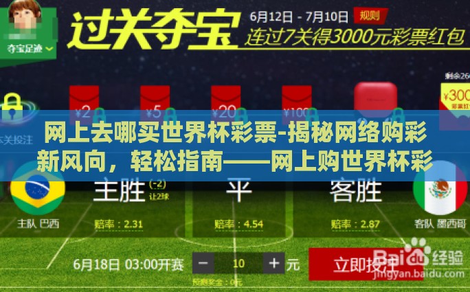 网上去哪买世界杯彩票-揭秘网络购彩新风向，轻松指南——网上购世界杯彩票攻略