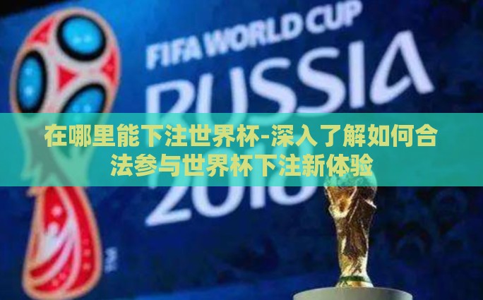 在哪里能下注世界杯-深入了解如何合法参与世界杯下注新体验
