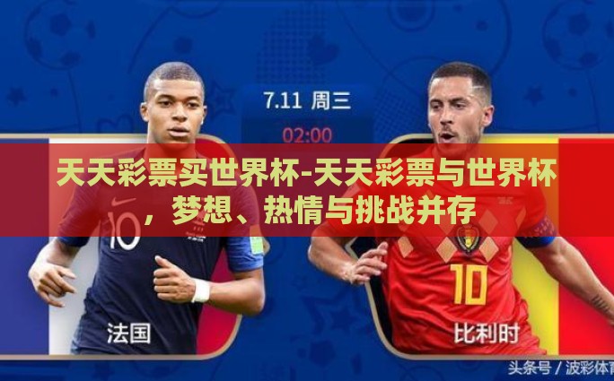天天彩票买世界杯-天天彩票与世界杯，梦想、热情与挑战并存