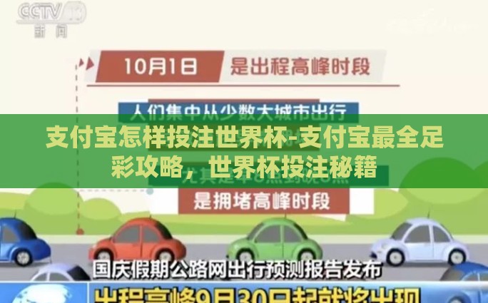 支付宝怎样投注世界杯-支付宝最全足彩攻略，世界杯投注秘籍