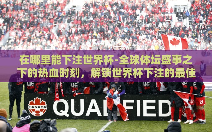 在哪里能下注世界杯-全球体坛盛事之下的热血时刻，解锁世界杯下注的最佳平台