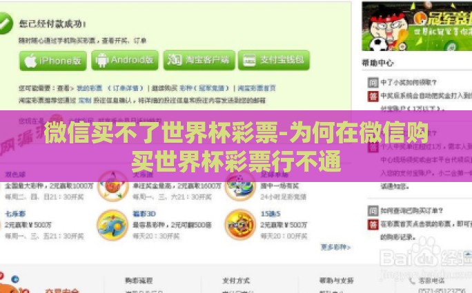 微信买不了世界杯彩票-为何在微信购买世界杯彩票行不通