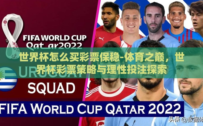 世界杯怎么买彩票保稳-体育之巅,世界杯彩票策略与理性投注探索 世界杯怎么买彩票保稳-体育之巅,世界杯彩票策略与理性投注探索