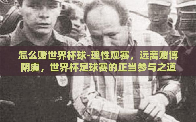 怎么赌世界杯球-理性观赛，远离赌博阴霾，世界杯足球赛的正当参与之道
