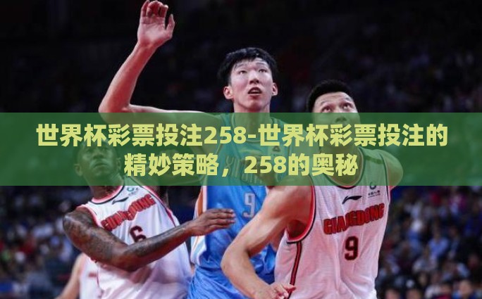 支付宝能买世界杯彩票-支付宝购彩，便捷通道看世界杯，乐享足球激情与幸运