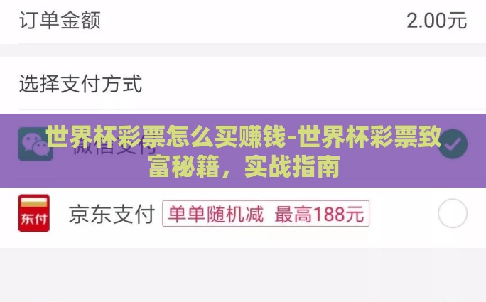 世界杯彩票怎么买赚钱-世界杯彩票致富秘籍，实战指南