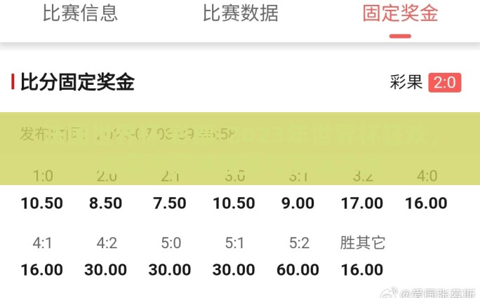 世界杯彩票主胜和主负-足球与数字的交织——主胜与主负探析