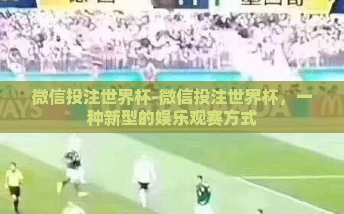 微信投注世界杯-微信投注世界杯，一种新型的娱乐观赛方式
