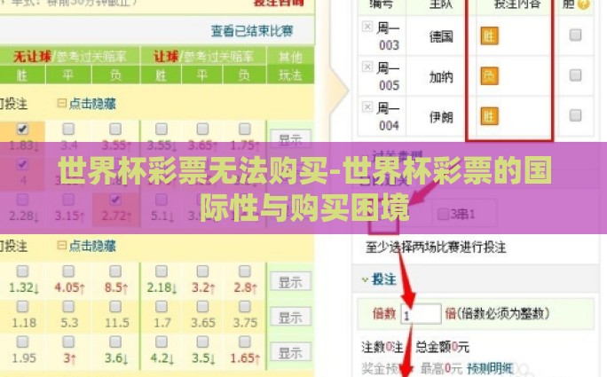 世界杯彩票无法购买-世界杯彩票的国际性与购买困境