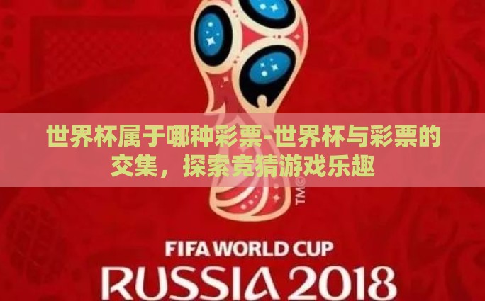 世界杯彩票投注一次-世界杯彩票投注——一次激情与策略并存的冒险