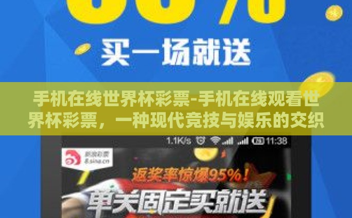 手机在线世界杯彩票-手机在线观看世界杯彩票，一种现代竞技与娱乐的交织体验