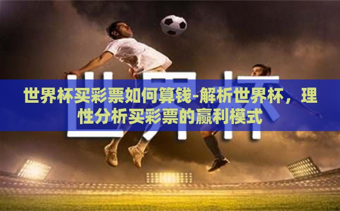 世界杯买彩票如何算钱-解析世界杯，理性分析买彩票的赢利模式