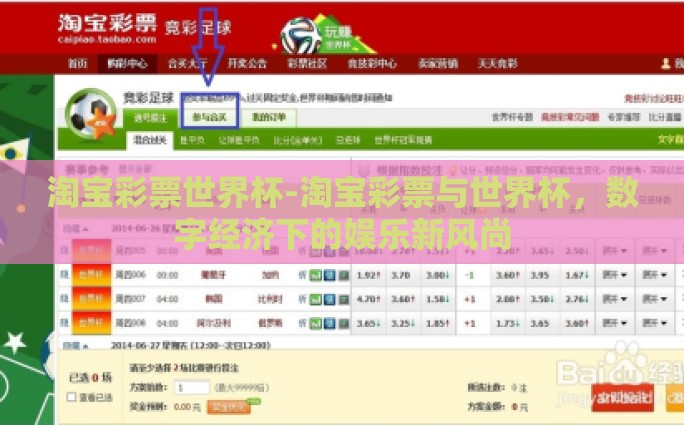 淘宝彩票世界杯-淘宝彩票与世界杯，数字经济下的娱乐新风尚