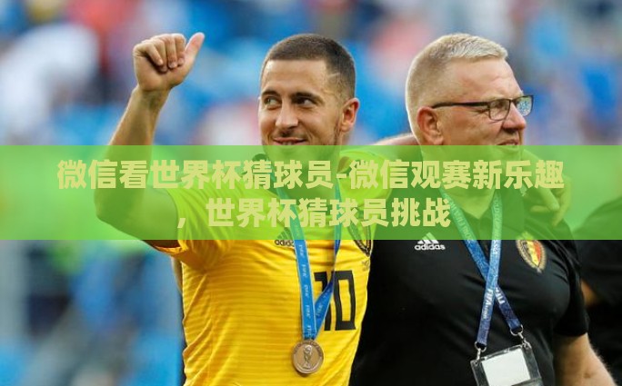 世界杯足球彩票网上购买-享受足球激情，轻松网上购彩——探索世界杯足球彩票的魅力与便利