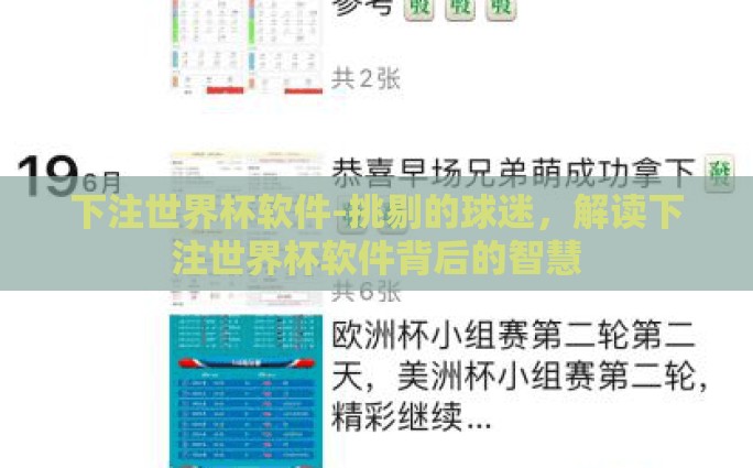 下注世界杯软件-挑剔的球迷，解读下注世界杯软件背后的智慧