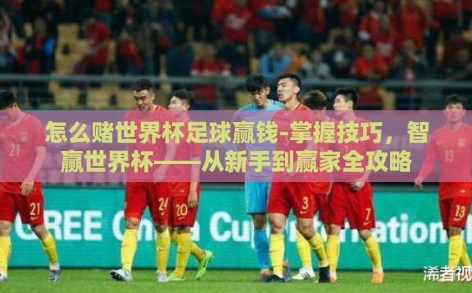 怎么赌世界杯足球赢钱-掌握技巧，智赢世界杯——从新手到赢家全攻略