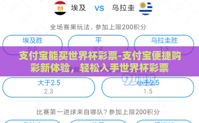世界杯彩票攻略-掌握世界杯彩票攻略，理性投资与幸运一击的智慧