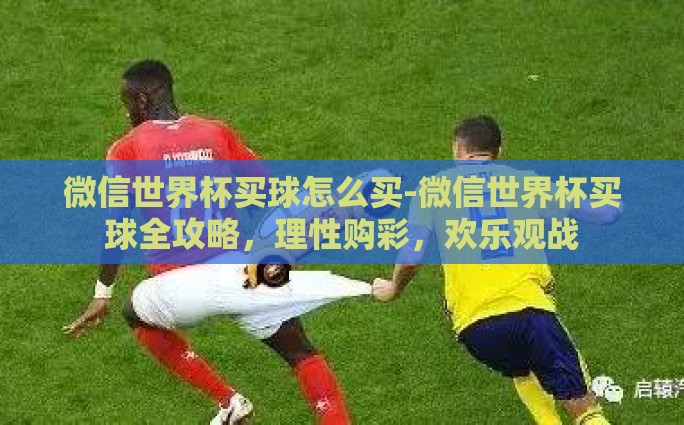 微信世界杯买球怎么买-微信世界杯买球全攻略，理性购彩，欢乐观战