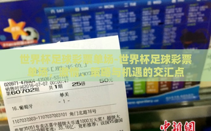 世界杯足球彩票单场-世界杯足球彩票单场，激情、策略与机遇的交汇点