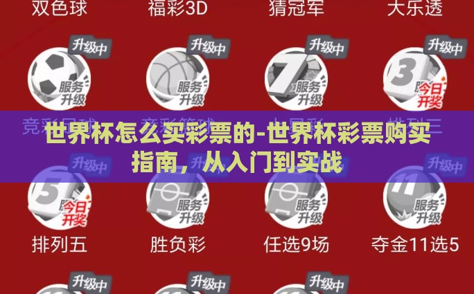 世界杯怎么买彩票的-世界杯彩票购买指南，从入门到实战