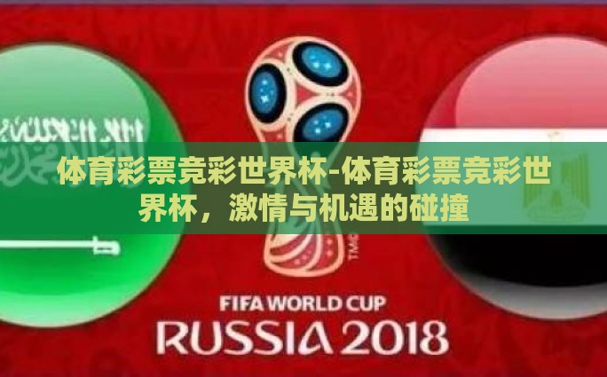 世界杯怎么买彩票的-世界杯彩票购买指南，从入门到实战