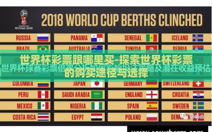 世界杯彩票跟哪里买-探索世界杯彩票的购买途径与选择