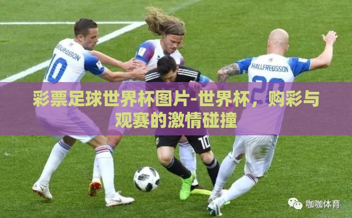 彩票足球世界杯图片-世界杯，购彩与观赛的激情碰撞