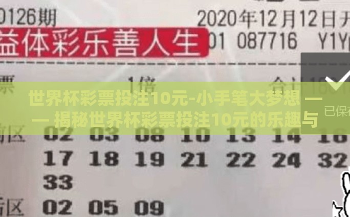 世界杯彩票投注10元-小手笔大梦想 —— 揭秘世界杯彩票投注10元的乐趣与风险