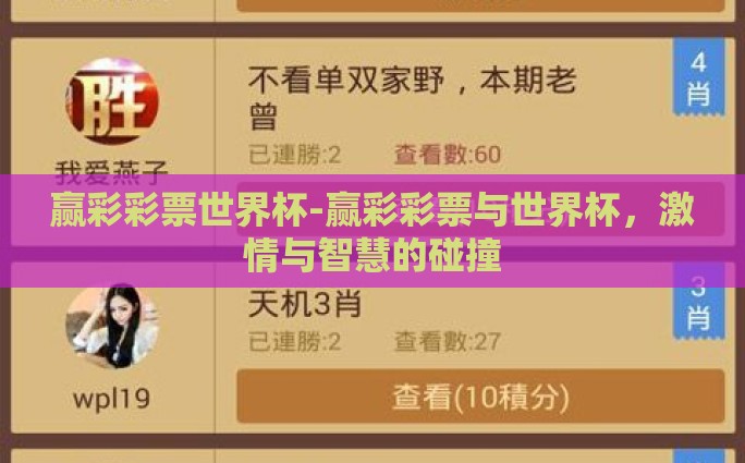 赢彩彩票世界杯-赢彩彩票与世界杯，激情与智慧的碰撞