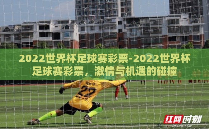 2022世界杯足球赛彩票-2022世界杯足球赛彩票，激情与机遇的碰撞