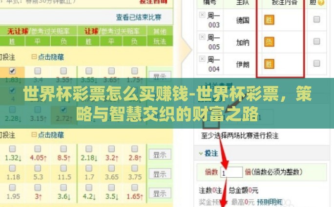 世界杯彩票怎么买赚钱-世界杯彩票，策略与智慧交织的财富之路