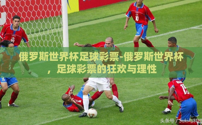 俄罗斯世界杯足球彩票-俄罗斯世界杯，足球彩票的狂欢与理性