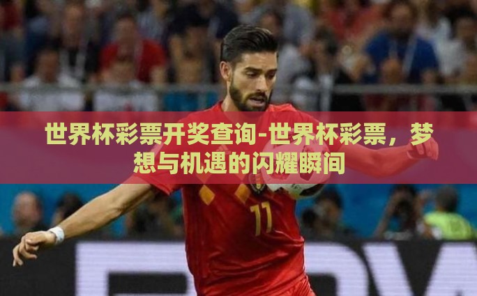 在哪里赌世界杯-理智观赛，共享精彩，世界杯期间娱乐与法律边界的探讨