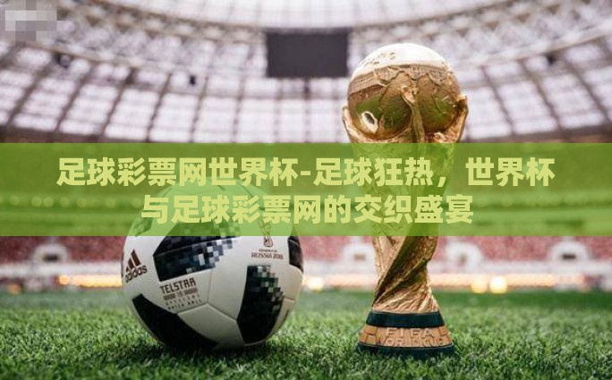 足球彩票网世界杯-足球狂热，世界杯与足球彩票网的交织盛宴