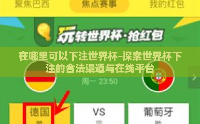 在哪里可以下注世界杯-探索世界杯下注的合法渠道与在线平台