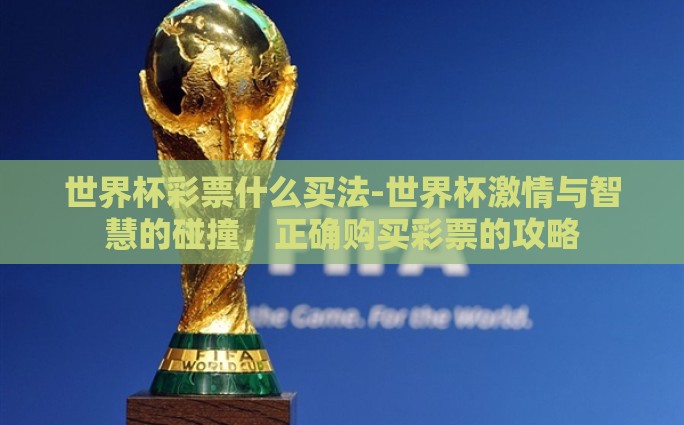 世界杯彩票什么买法-世界杯激情与智慧的碰撞，正确购买彩票的攻略