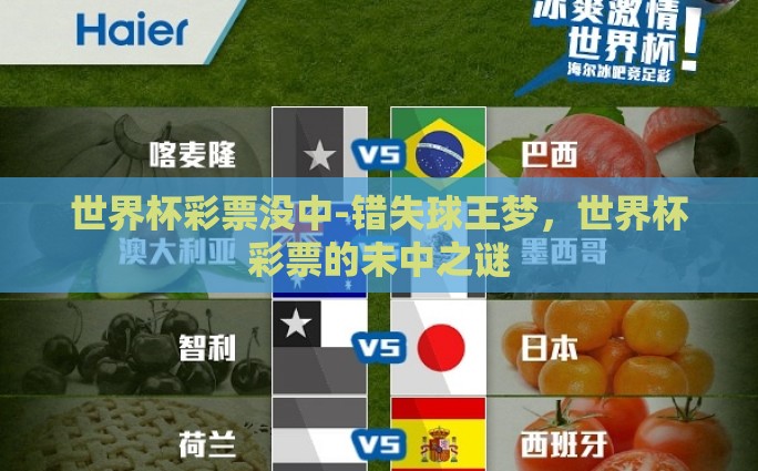 世界杯彩票没中-错失球王梦，世界杯彩票的未中之谜