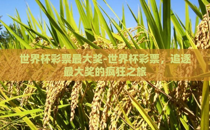 世界杯彩票最大奖-世界杯彩票，追逐最大奖的疯狂之旅
