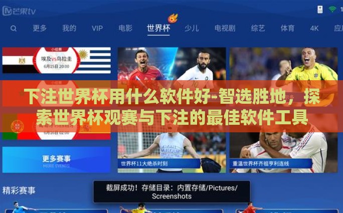 下注世界杯用什么软件好-智选胜地，探索世界杯观赛与下注的最佳软件工具