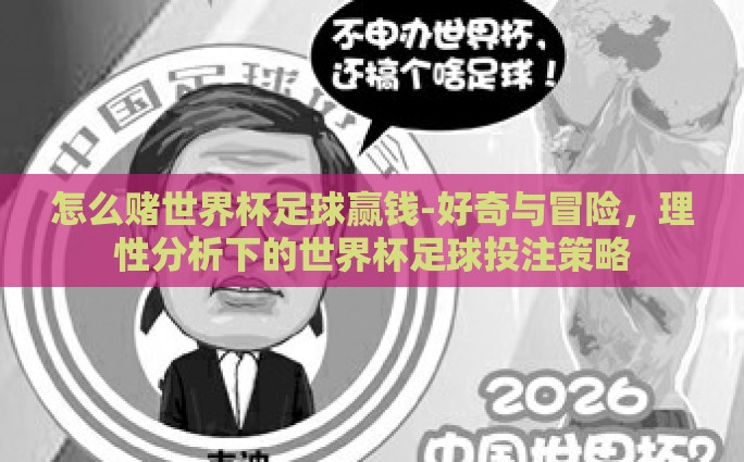 怎么赌世界杯足球赢钱-好奇与冒险，理性分析下的世界杯足球投注策略
