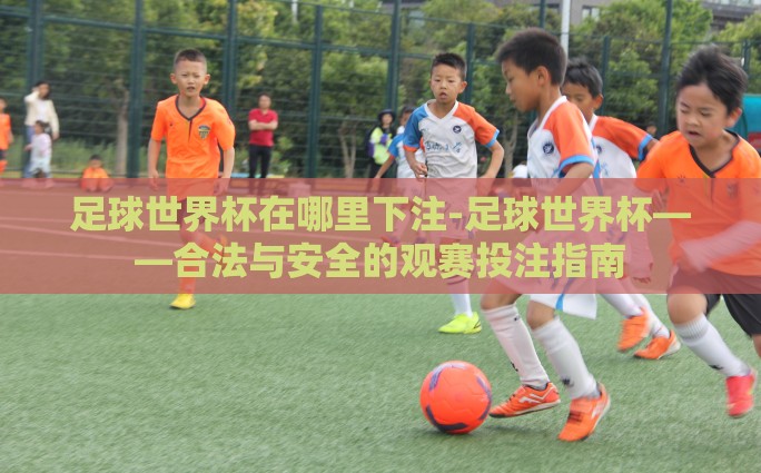 足球世界杯在哪里下注-足球世界杯——合法与安全的观赛投注指南