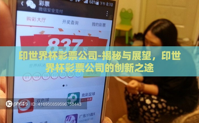 印世界杯彩票公司-揭秘与展望，印世界杯彩票公司的创新之途